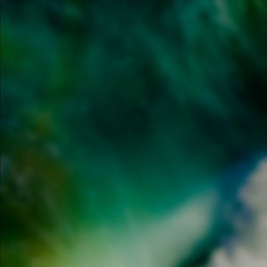 Meet your Posher, Blake